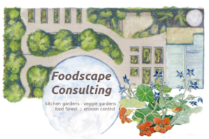 Foodscape Consulting